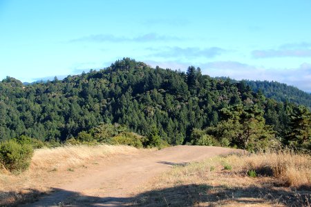 View from Sunny Jim Trail, Aug 2019 3