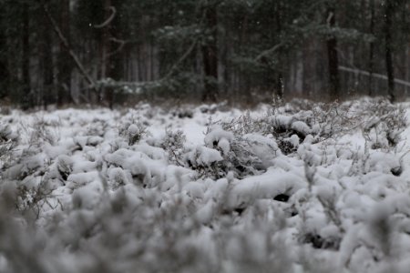 View from R1 in Ferch with snow 2021-02-07 12