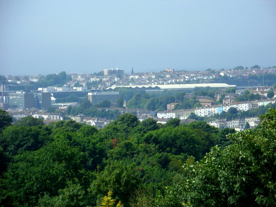 View from Tenantry Down, Race Hill, Brighton (August 2013) (9)