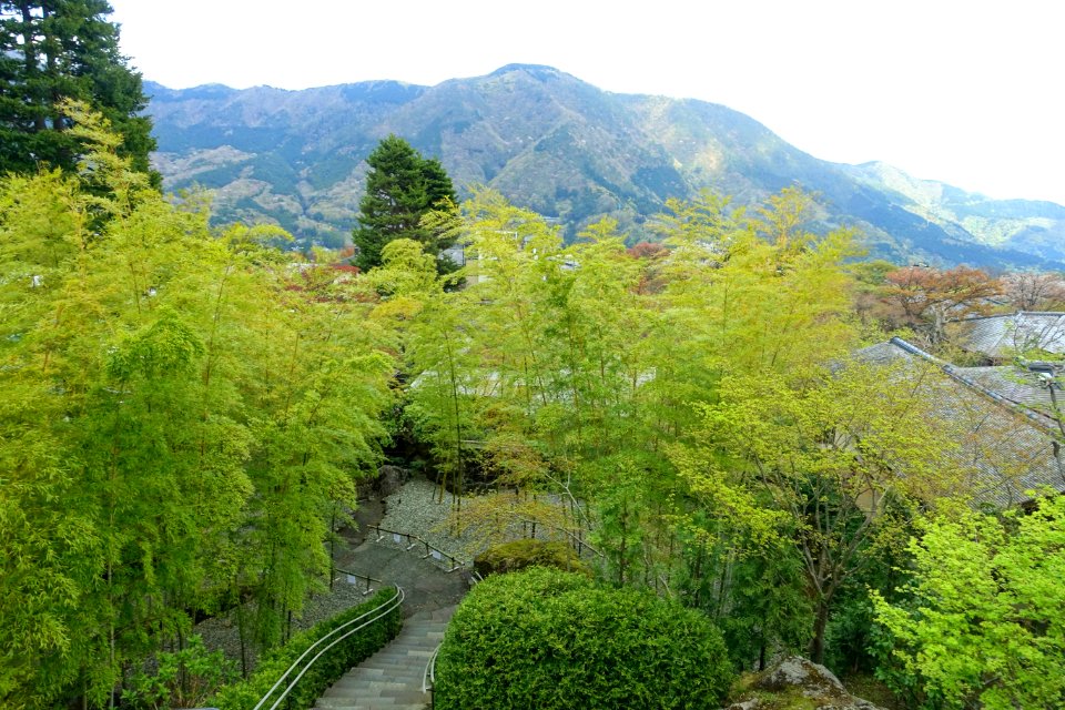 View from the Hakone Museum of Art - Hakone, Kanagawa, Japan - DSC08352