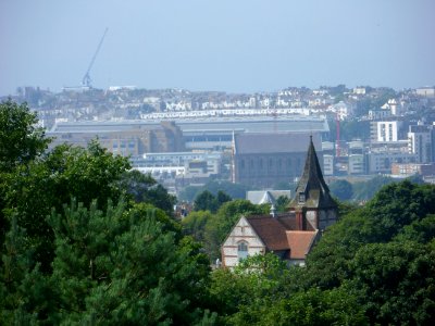 View from Tenantry Down, Race Hill, Brighton (August 2013) (10)