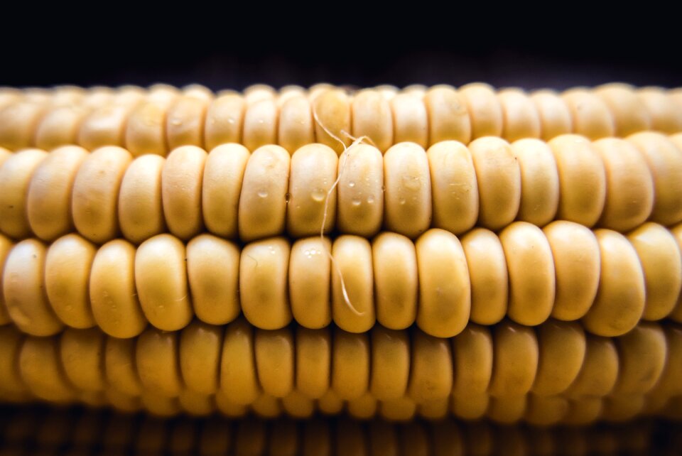 Fresh sweetcorn raw