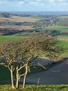 View from the Downs at Firle 05