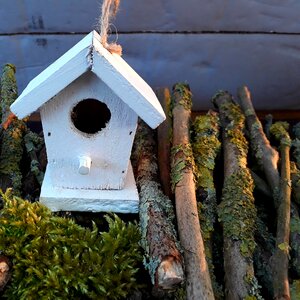 Weave bird feeder mini