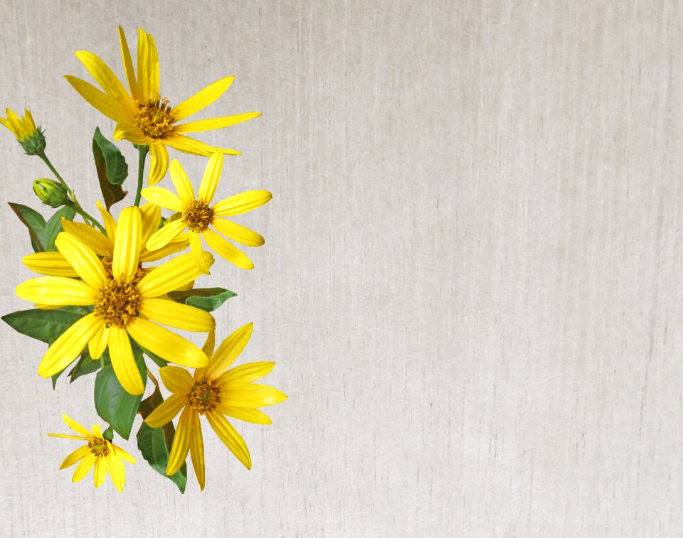 Yellow daisies decoration