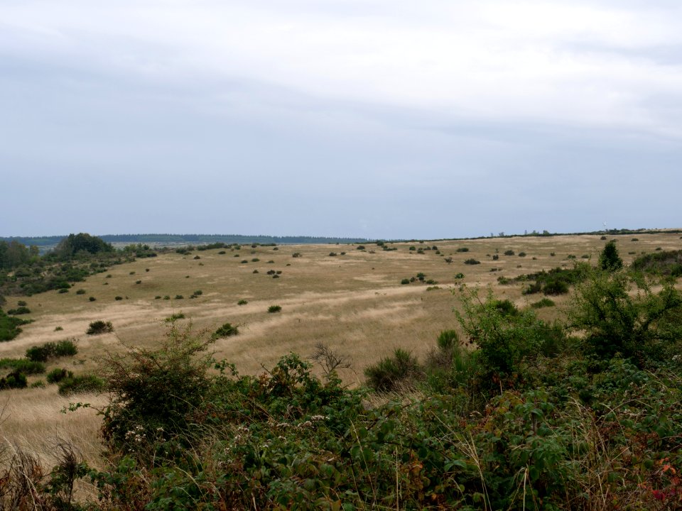 View from trail from Gierberg to Müsauelsberg in September 2019 15