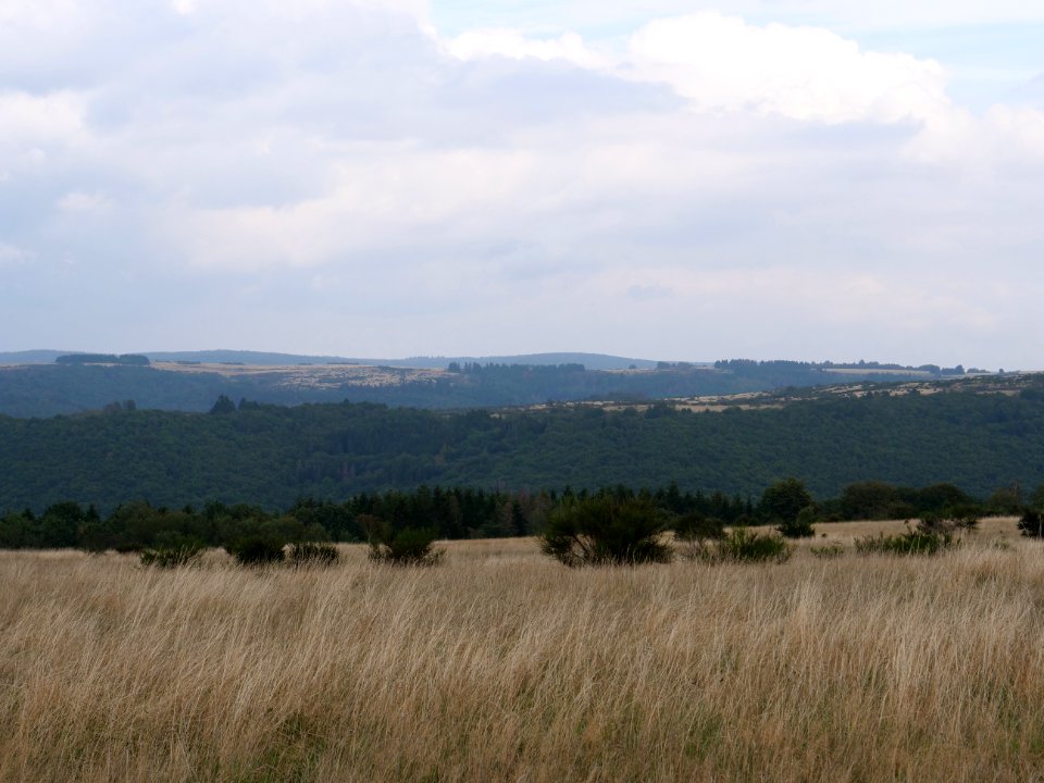 View from trail from Gierberg to Müsauelsberg in September 2019 26