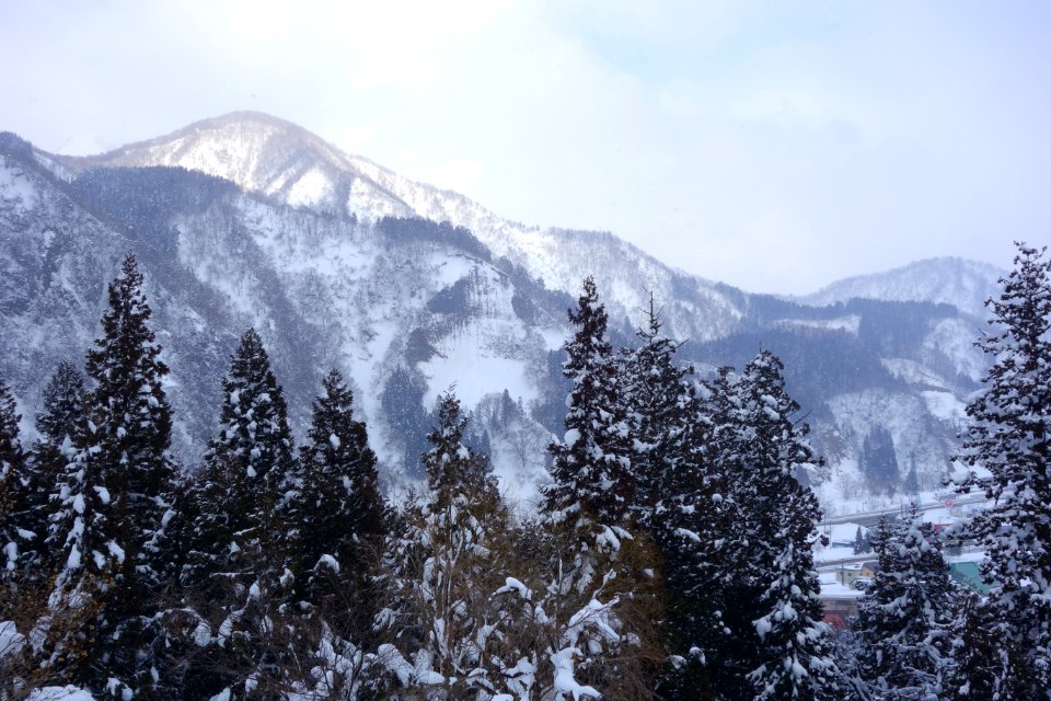 View from the Kasumi room - Takahan ryokan - Gala Yuzawa, Niigata Prefecture, Japan -