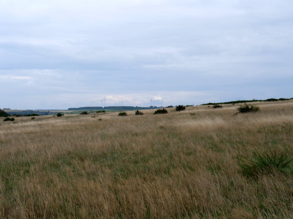 View from trail from Gierberg to Müsauelsberg in September 2019 28