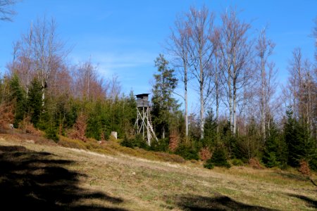 View from Untere Birkenaustraße on national park 2020-03-15 92