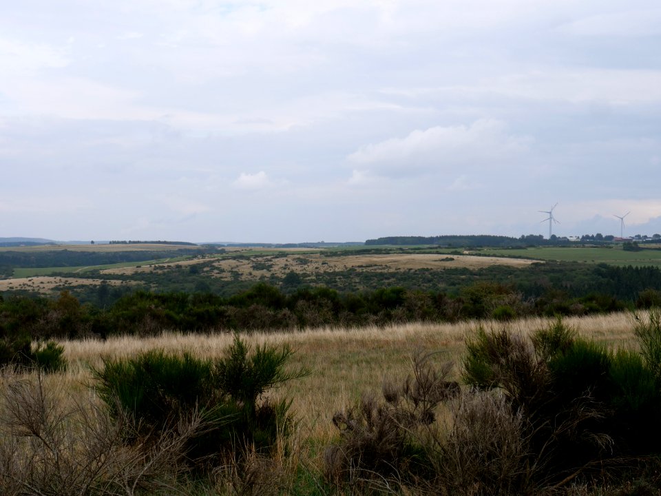 View from trail from Gierberg to Müsauelsberg in September 2019 29