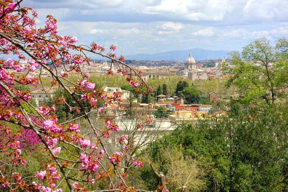 View from the Japanese Garden - Orto botanico - Rome, Italy - DSC00211