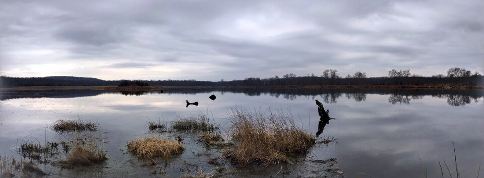 Lake evening sky photo