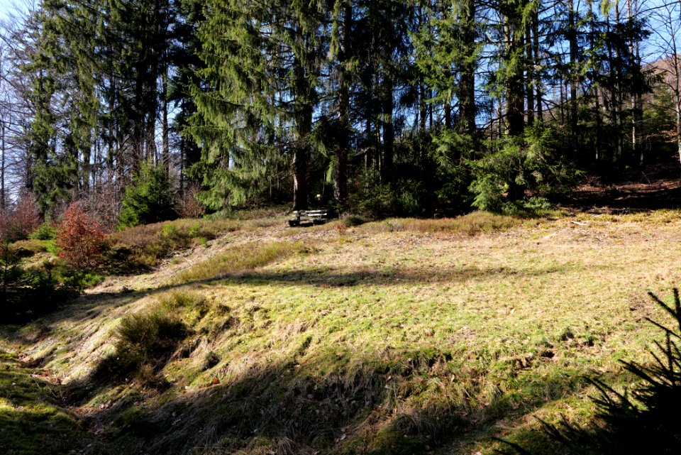 View from Untere Birkenaustraße on national park 2020-03-15 85