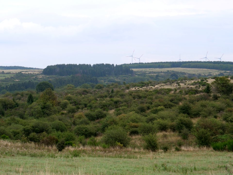 View from trail from Gierberg to Müsauelsberg in September 2019 51