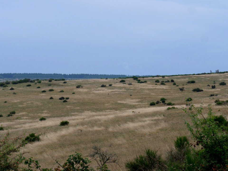 View from trail from Gierberg to Müsauelsberg in September 2019 14