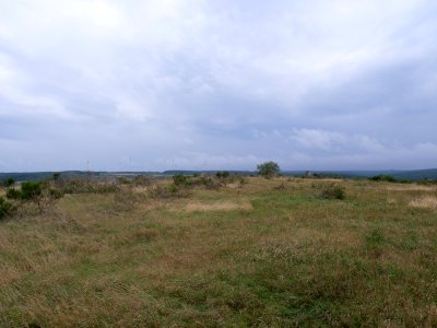 View from trail from Gierberg to Müsauelsberg in September 2019 66