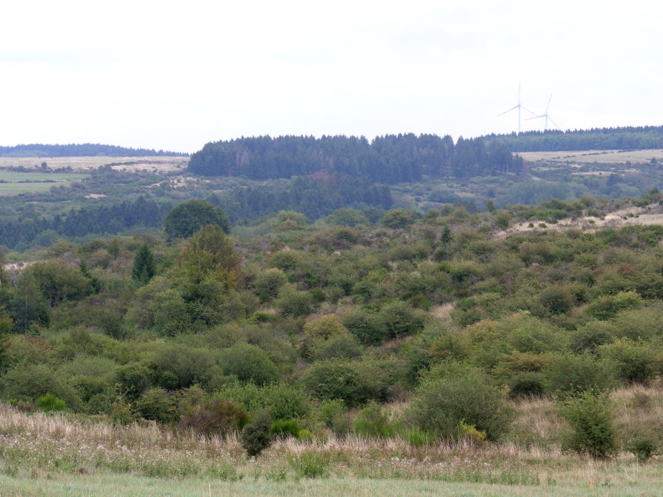 View from trail from Gierberg to Müsauelsberg in September 2019 52