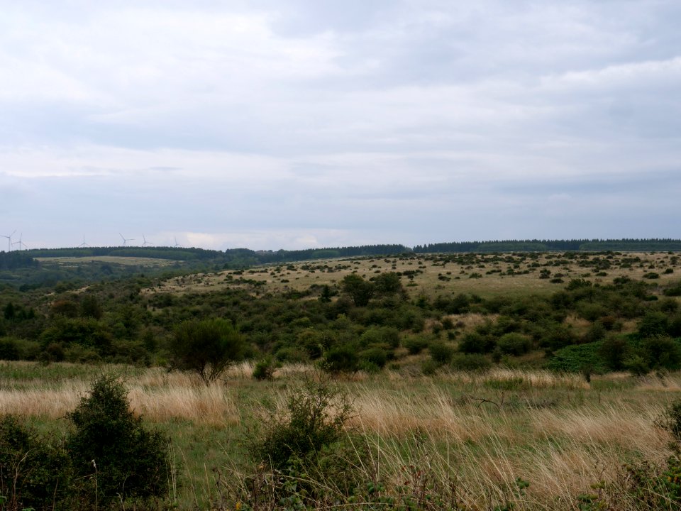 View from trail from Gierberg to Müsauelsberg in September 2019 47