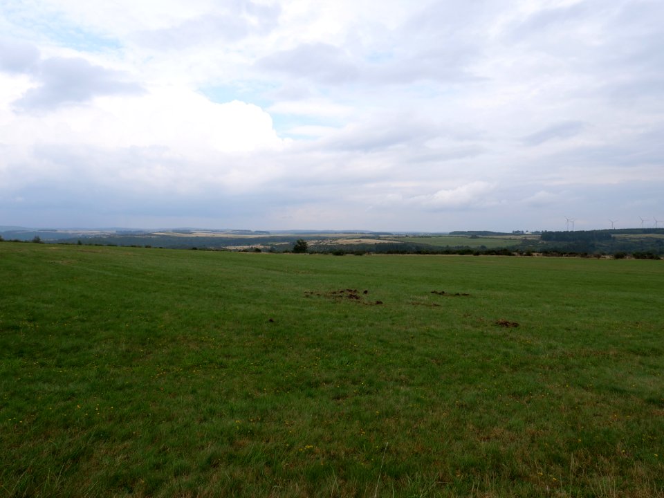View from trail from Gierberg to Müsauelsberg in September 2019 63