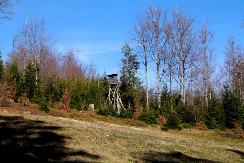 View from Untere Birkenaustraße on national park 2020-03-15 91