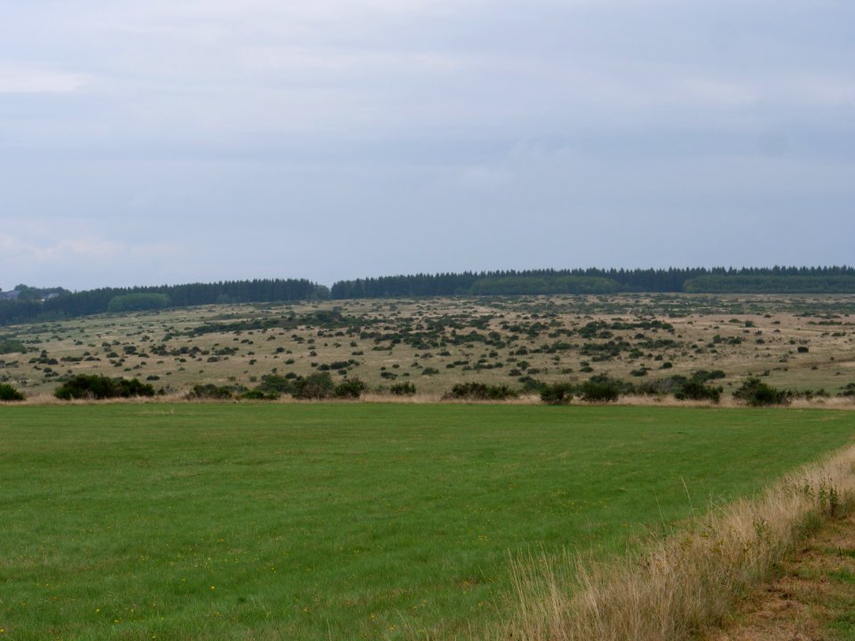 View from trail from Gierberg to Müsauelsberg in September 2019 61