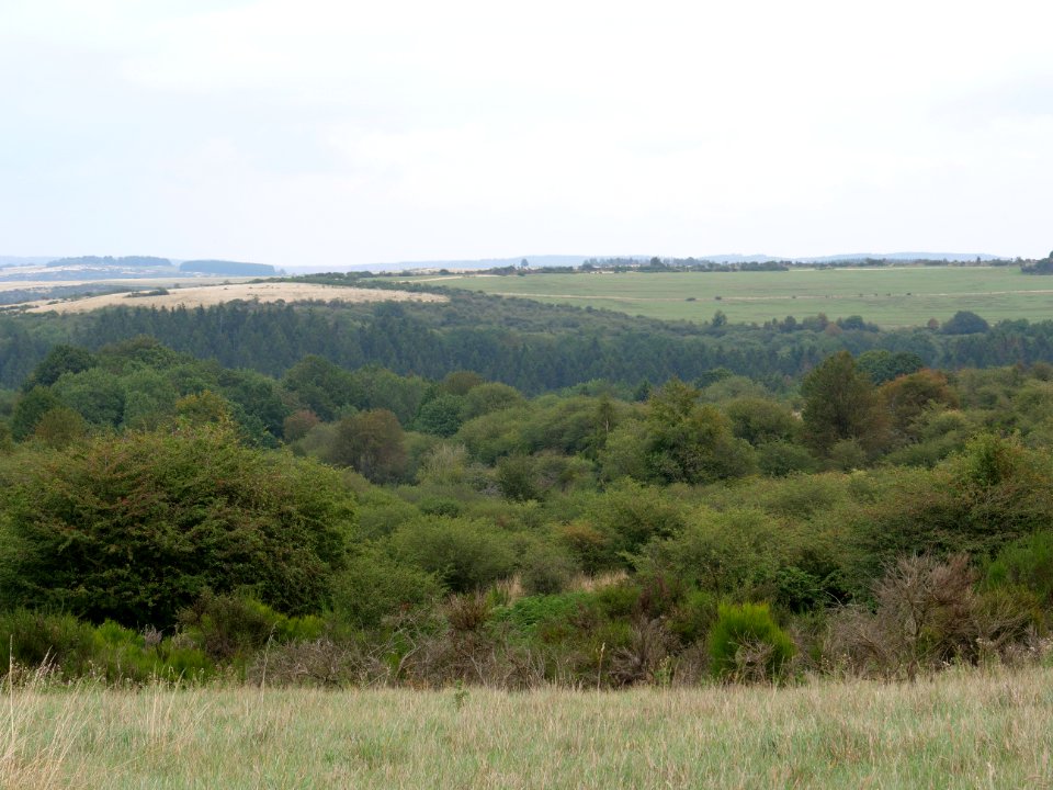 View from trail from Gierberg to Müsauelsberg in September 2019 55