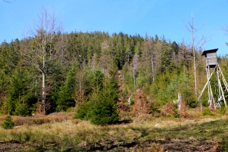 View from Untere Birkenaustraße on national park 2020-03-15 88