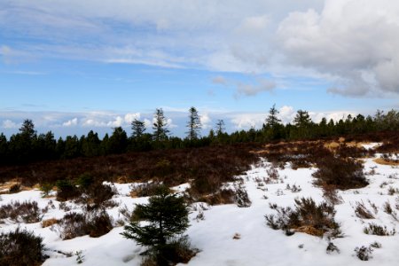 View from trail from Ochsenstall Hornisgrinde to Hundsrücken 2020-03-14 27
