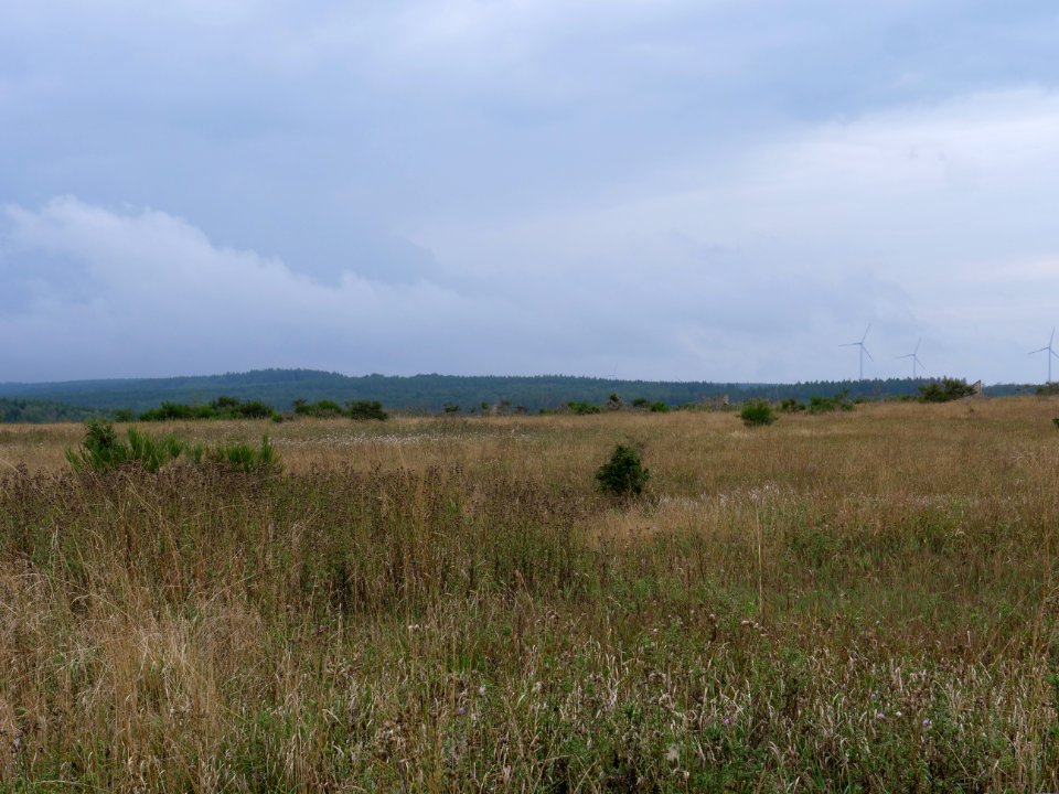View from trail from Gierberg to Müsauelsberg in September 2019 60