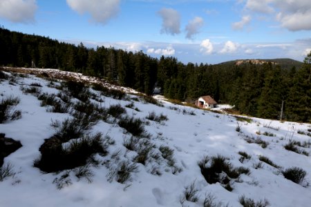 View from trail from Ochsenstall Hornisgrinde to Kleine Grinde 2020-03-14 03