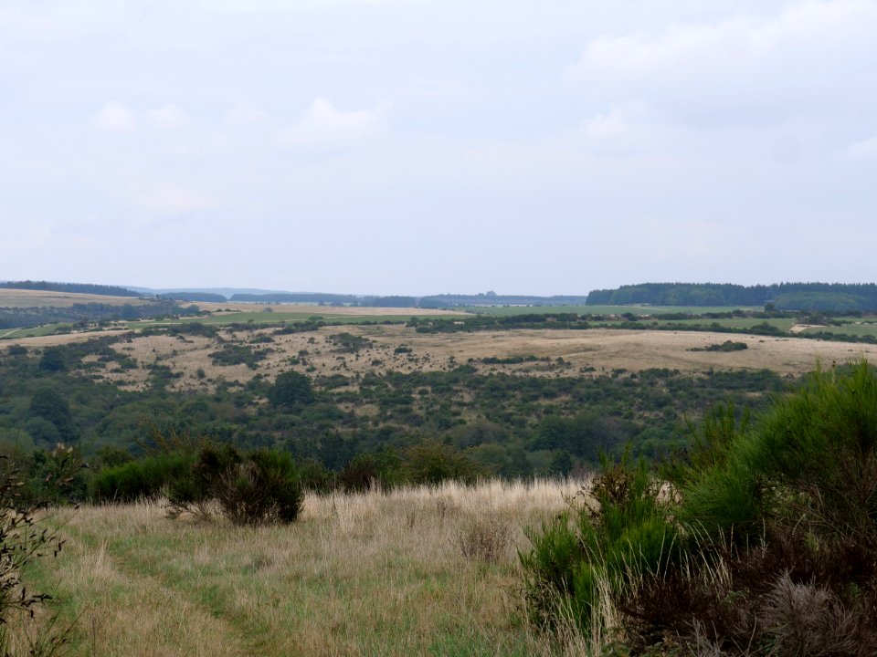 View from trail from Gierberg to Müsauelsberg in September 2019 30