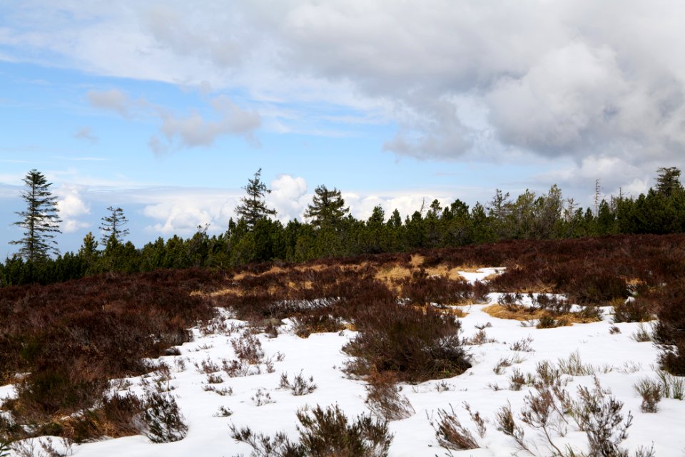 View from trail from Ochsenstall Hornisgrinde to Hundsrücken 2020-03-14 25