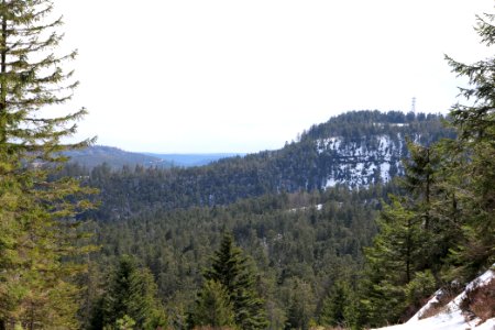 View from trail from Ochsenstall Hornisgrinde to Kleine Grinde 2020-03-14 11