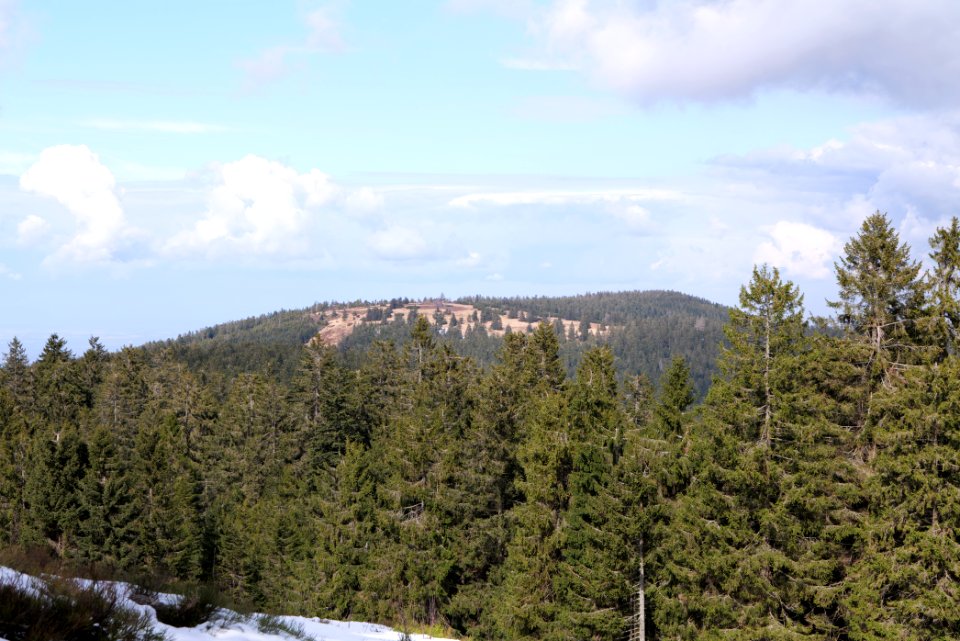 View from trail from Ochsenstall Hornisgrinde to Kleine Grinde 2020-03-14 01