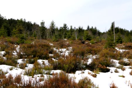 View from track Unterstmatt to Ochsenstall 2020-03-14 19