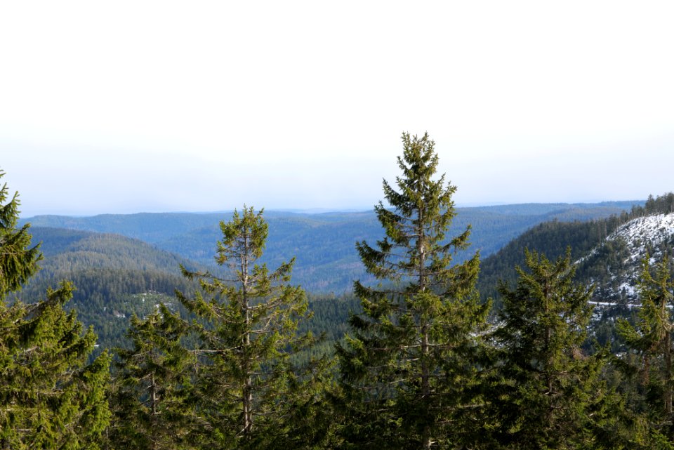 View from trail from Ochsenstall Hornisgrinde to Kleine Grinde 2020-03-14 05