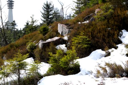 View from trail from Ochsenstall Hornisgrinde to Kleine Grinde 2020-03-14 10