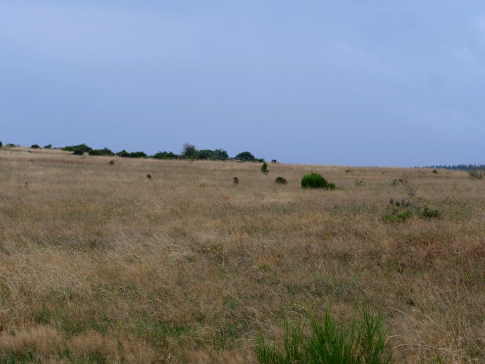 View from trail from Gierberg to Müsauelsberg in September 2019 21