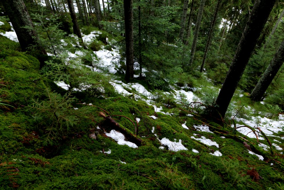 View from trail from Stirnleshütte to Überzwercher Berghütte 2020-03-11 05
