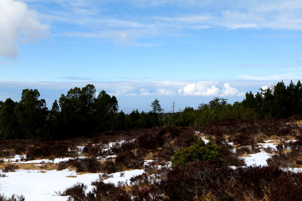 View from trail from Ochsenstall Hornisgrinde to Hundsrücken 2020-03-14 38