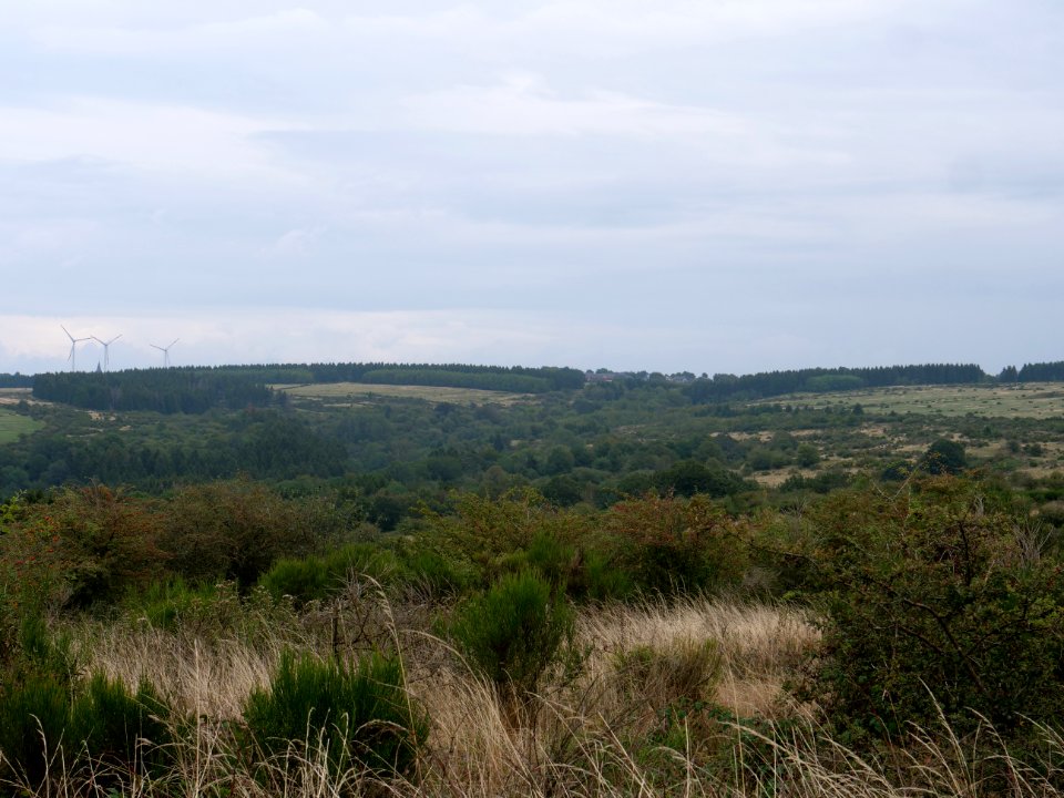 View from trail from Gierberg to Müsauelsberg in September 2019 31