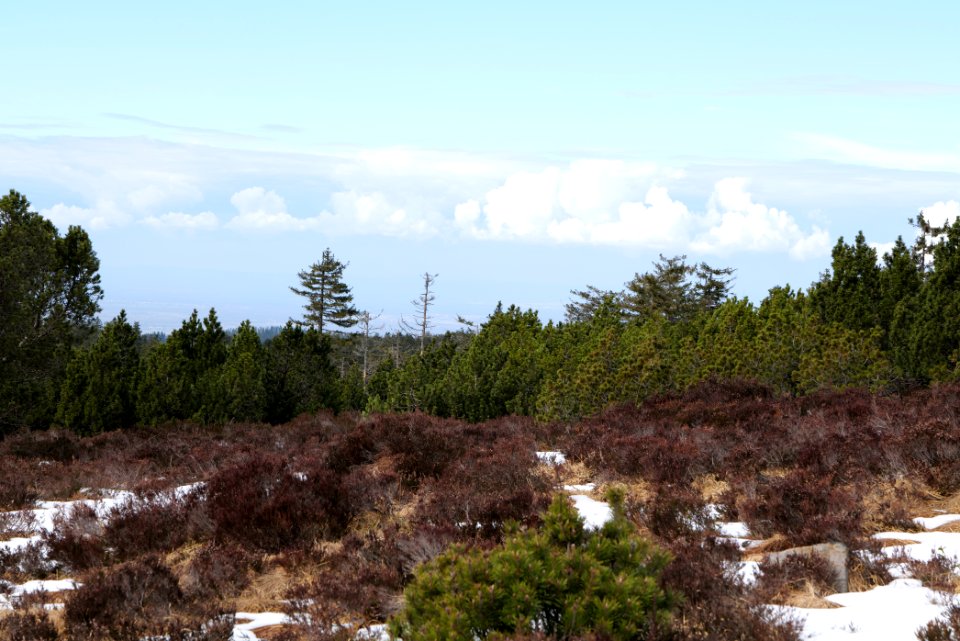 View from trail from Ochsenstall Hornisgrinde to Hundsrücken 2020-03-14 36