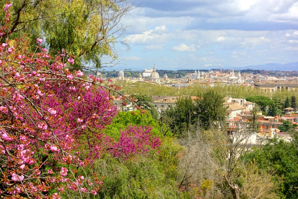 View from the Japanese Garden - Orto botanico - Rome, Italy - DSC00215