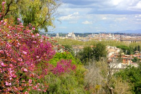 View from the Japanese Garden - Orto botanico - Rome, Italy - DSC00215