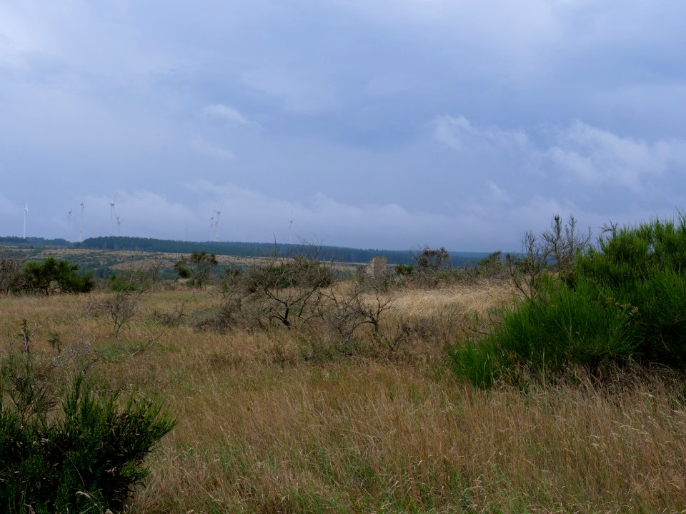 View from trail from Gierberg to Müsauelsberg in September 2019 65