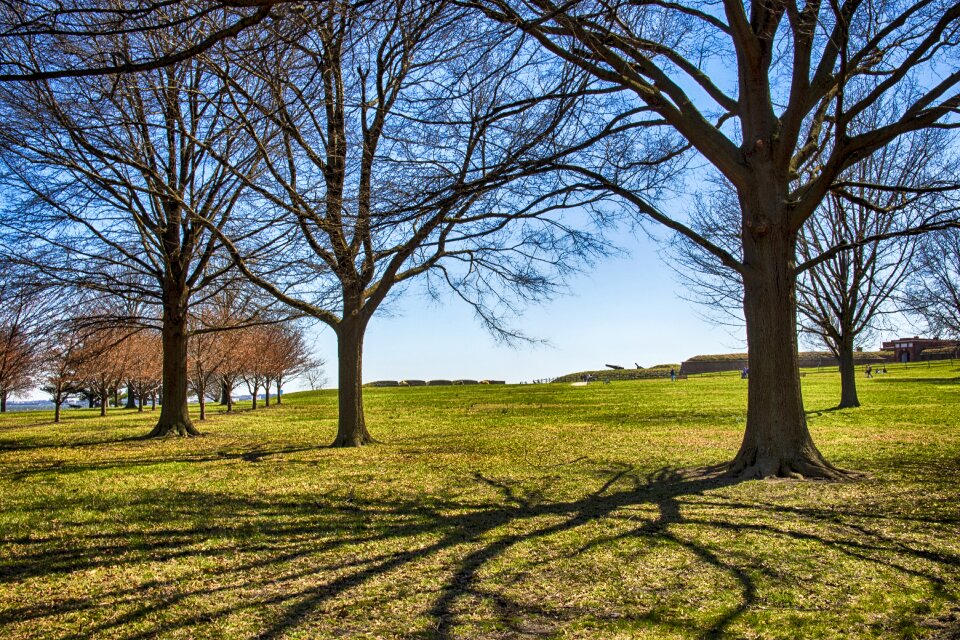 Wood season fort mchenry