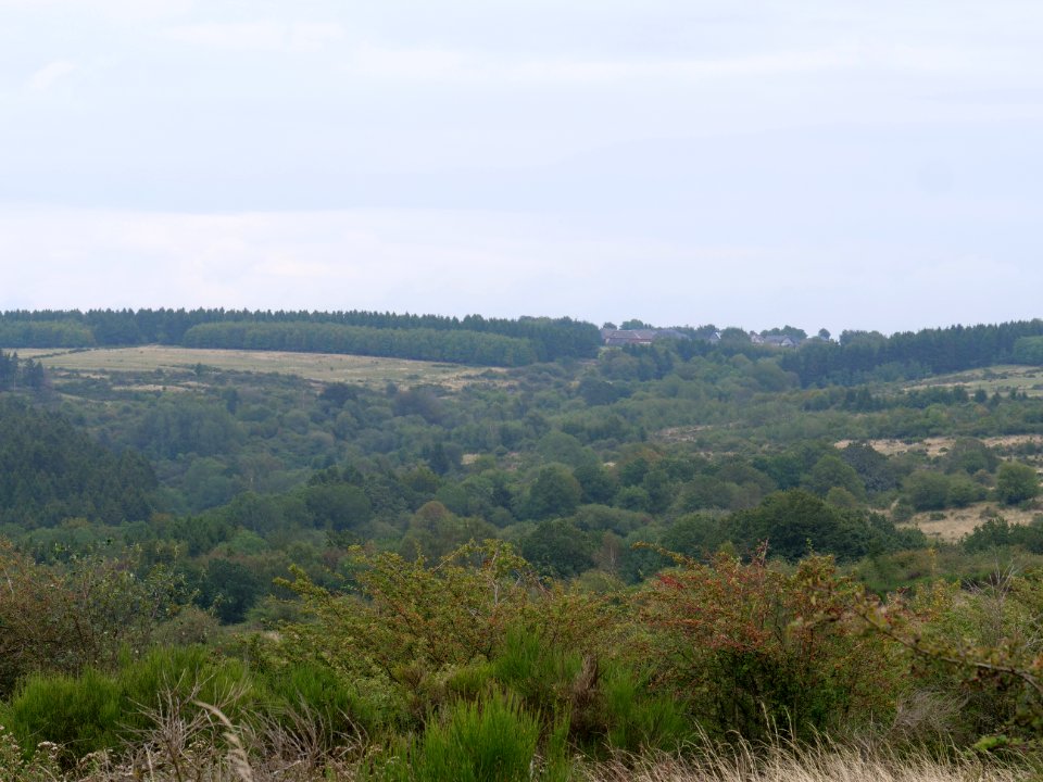 View from trail from Gierberg to Müsauelsberg in September 2019 32