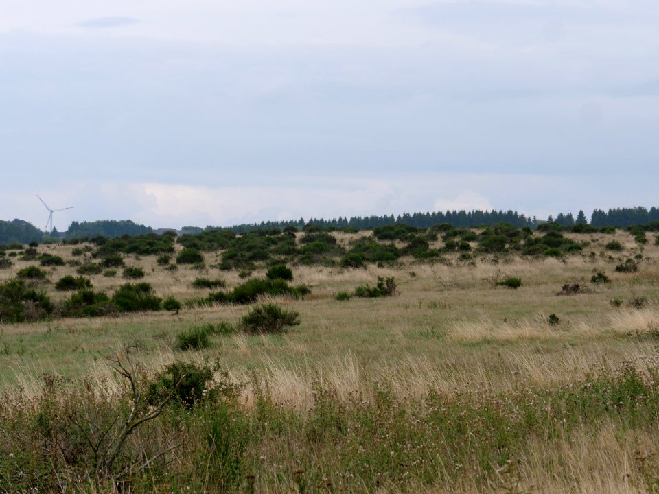 View from trail from Gierberg to Müsauelsberg in September 2019 56