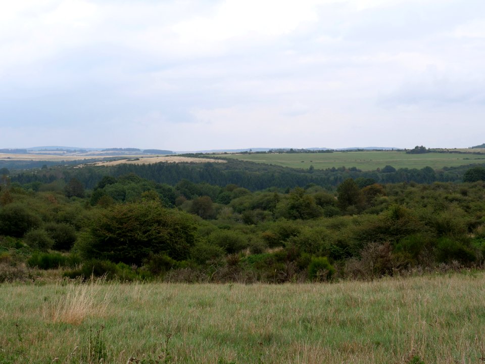 View from trail from Gierberg to Müsauelsberg in September 2019 54